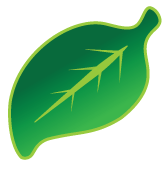 Header Logo Leaf