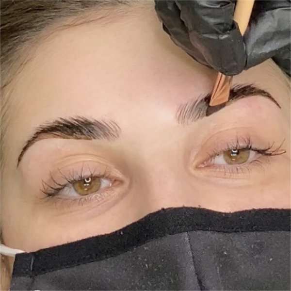 Troy Eyebrow Lamination and Tinting