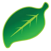 Cropped header logo leaf 1.png